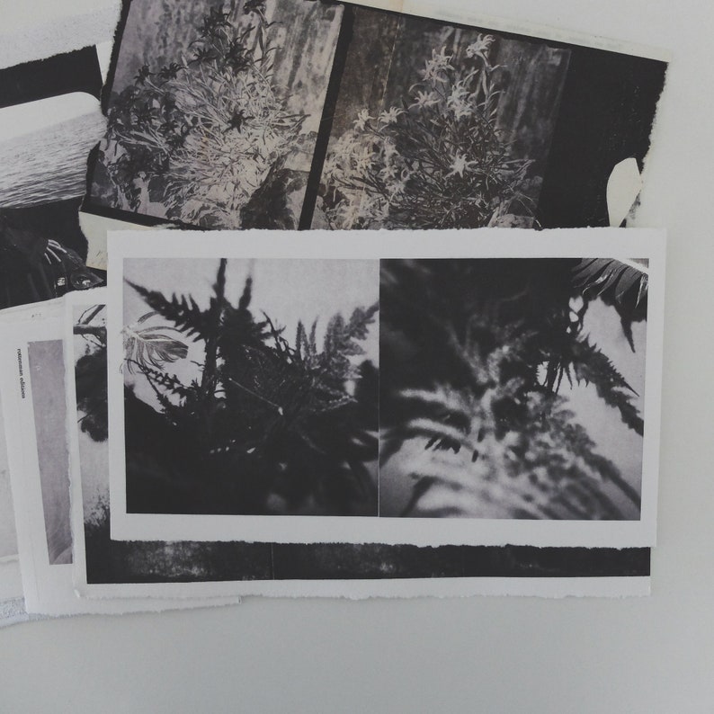 analog print, printmaking art, black and white nature photography, experimental photography, nature landscape, limited edition image 4