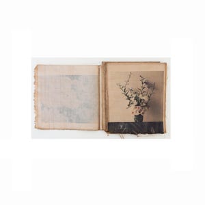 Moody Vintage Botanical Print Set of Four, Floral Textile Artwork , Handprinted , Mixed Media-Photography