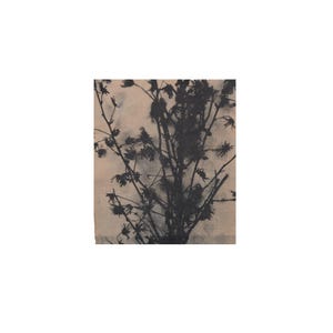 Puede incluir: Una pieza rectangular de tela que presenta una silueta negra oscura de una planta ramificada con pequeñas cabezas de flores impresas sobre un fondo beige claro. El diseño muestra un patrón repetitivo de formas de diamante sutiles.