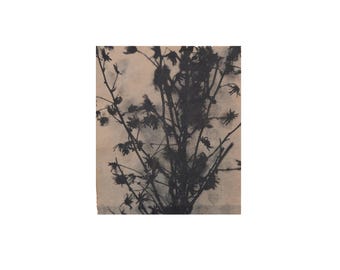 Wildflowers Botanical Textile Artwork, Handprinted, Mixed Media-Photography, Vintage Floral Tapestry Art