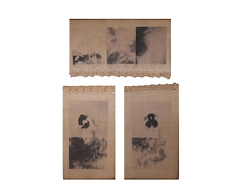 Misprint Art Set , Vintage Dark Moody Floral Textile Artwork, Abstract Botanical Mixed-Media Mono Print, Photography Collage