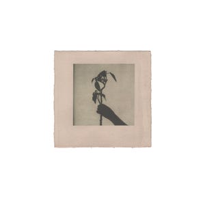 Stampa artistica di fiori a mano, arte botanica minimalista, stampa analogica su carta tinta, stampata a mano, stampa murale di fiori che tengono in mano, arte della natura