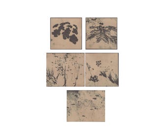 Mini-Blumendruck-Set, botanische Schwarzweiß-Naturkunst, Originalfotografie-Wandkunst, analoger Druck auf gefärbtem Papier, handgedruckt