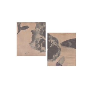 May include: Two rectangular art prints featuring a muted, sepia-toned background with dark, shadowy floral motifs. The left print displays a partial flower and leaf, while the right print shows a larger, detailed flower bloom and foliage.