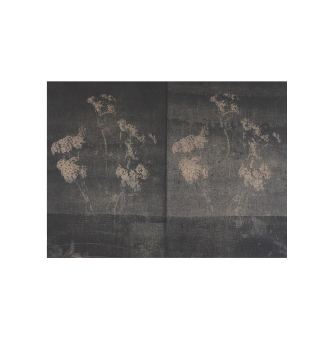 Dark Botanical Textile Artwork, Black Floral Mixed-Media Mono Print ...