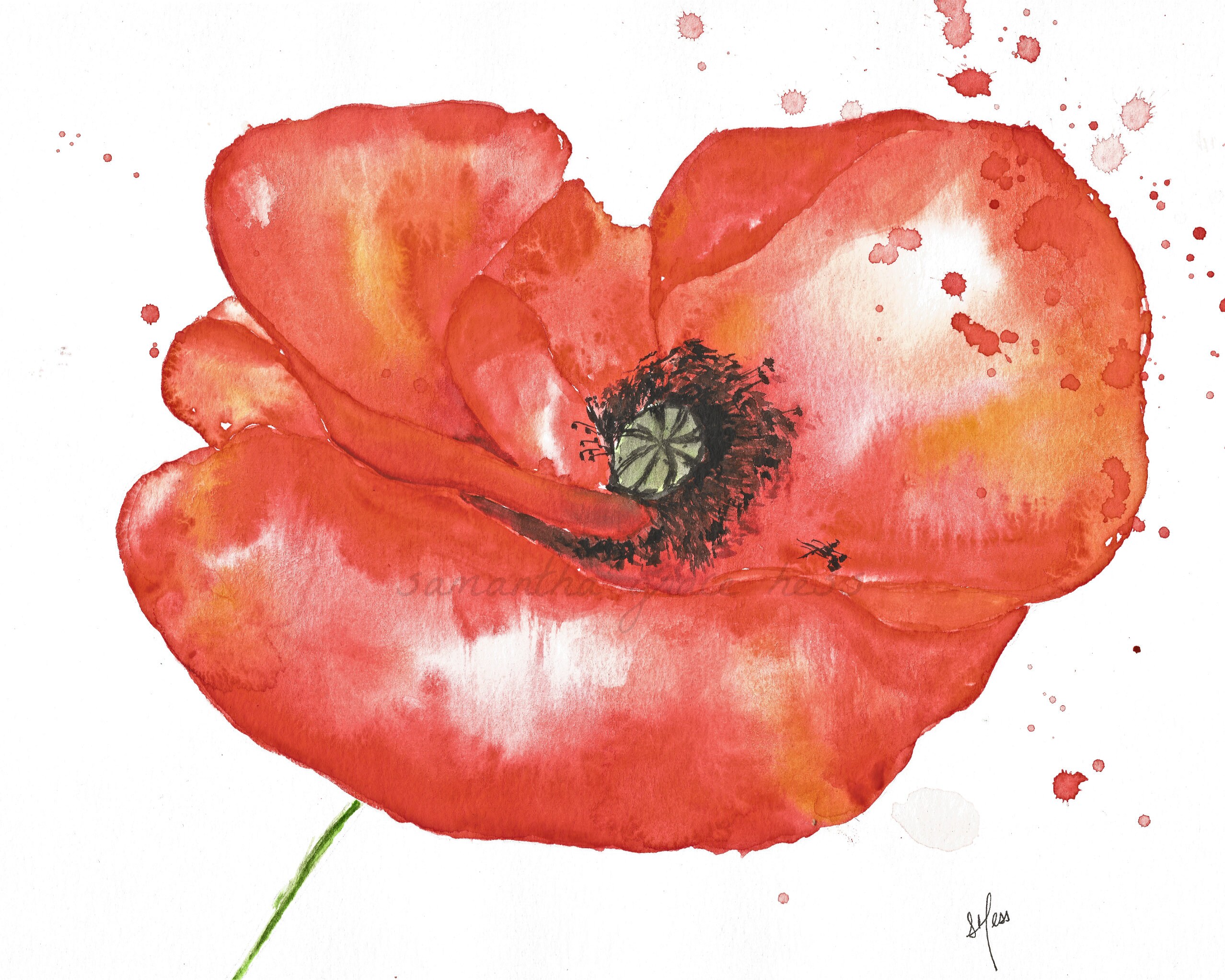 Poppy original