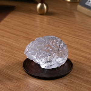 Glass Brain Sculpture / Anatomy Art / Glass Brain Figurine / Glass Brain Object / Human Brain Paper Weight / Anatomic Brain / Art Glass image 1