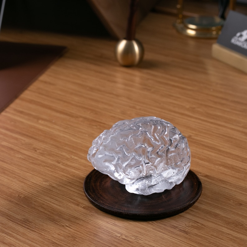 Glass Brain Sculpture / Anatomy Art / Glass Brain Figurine / Glass Brain Object / Human Brain Paper Weight / Anatomic Brain / Art Glass image 7