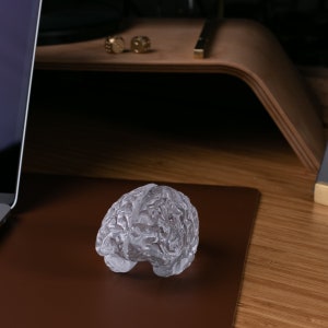 Glass Brain Sculpture / Anatomy Art / Glass Brain Figurine / Glass Brain Object / Human Brain Paper Weight / Anatomic Brain / Art Glass image 8