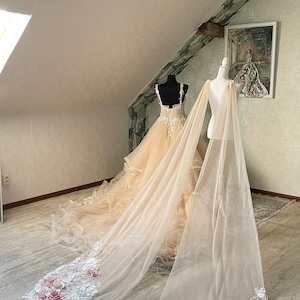 Des ailes pour la robe !