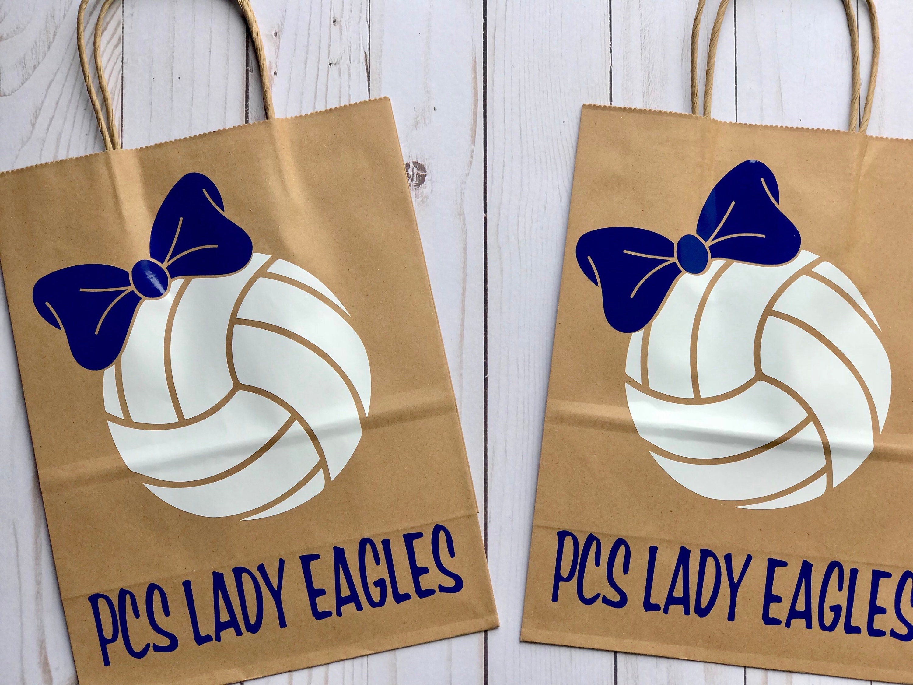 Volleyball Gift Bag Volleyball Team Gift Volleyball Gift Etsy