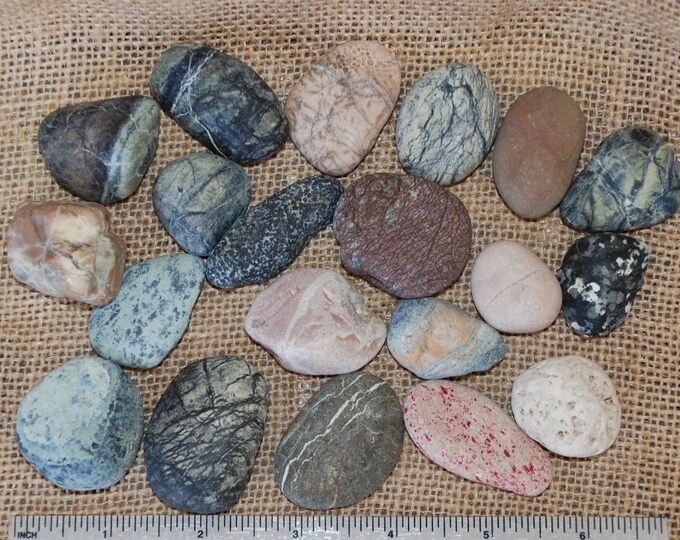 20 Cyprus Stones For Decor sea pebbles table potpourri zen Etsy