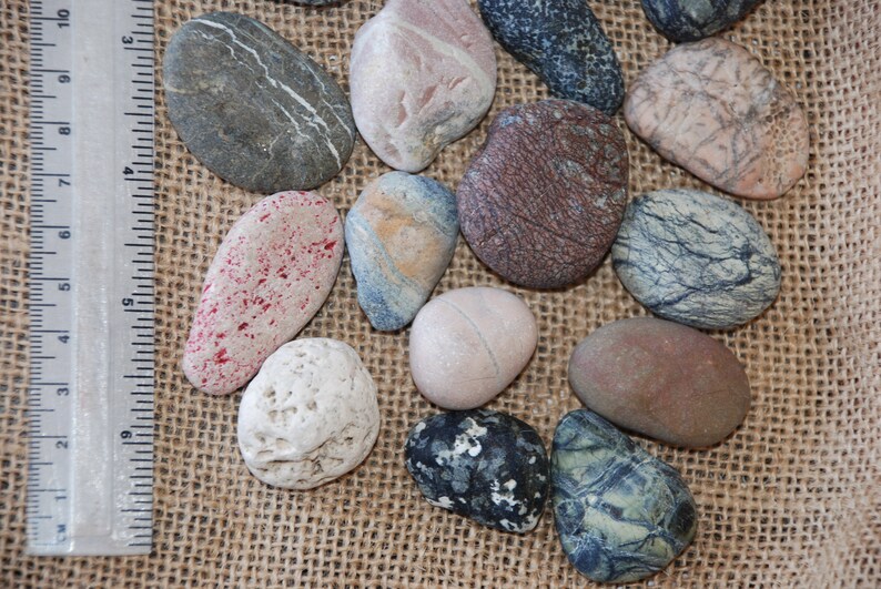 20 Cyprus Stones For Decor sea pebbles table potpourri zen Etsy