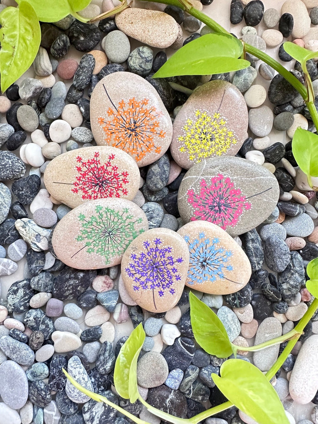 Painted Rocks Dandelion Dandelion Flower, Hand Painted Stone Nature Design Pebbles, Floral ...