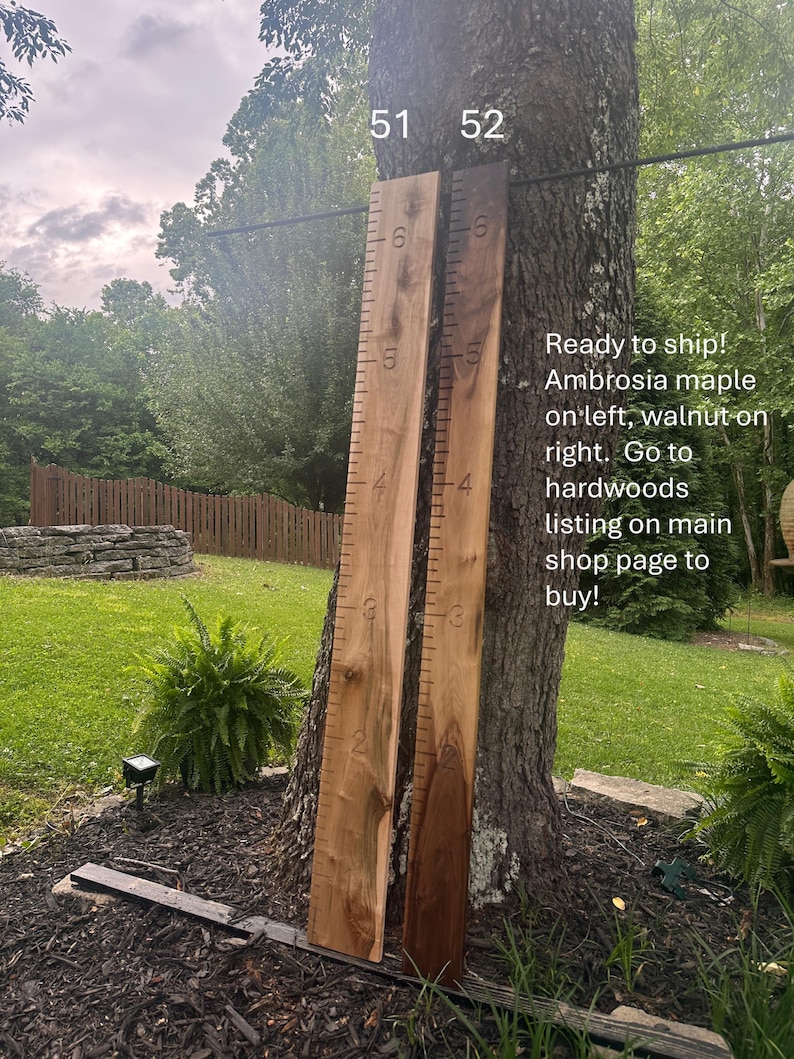 May include: Two wooden growth charts, one ambrosia maple and one walnut, are leaning against a tree. The ambrosia maple chart is on the left, and the walnut chart is on the right. Each chart has inch markings.