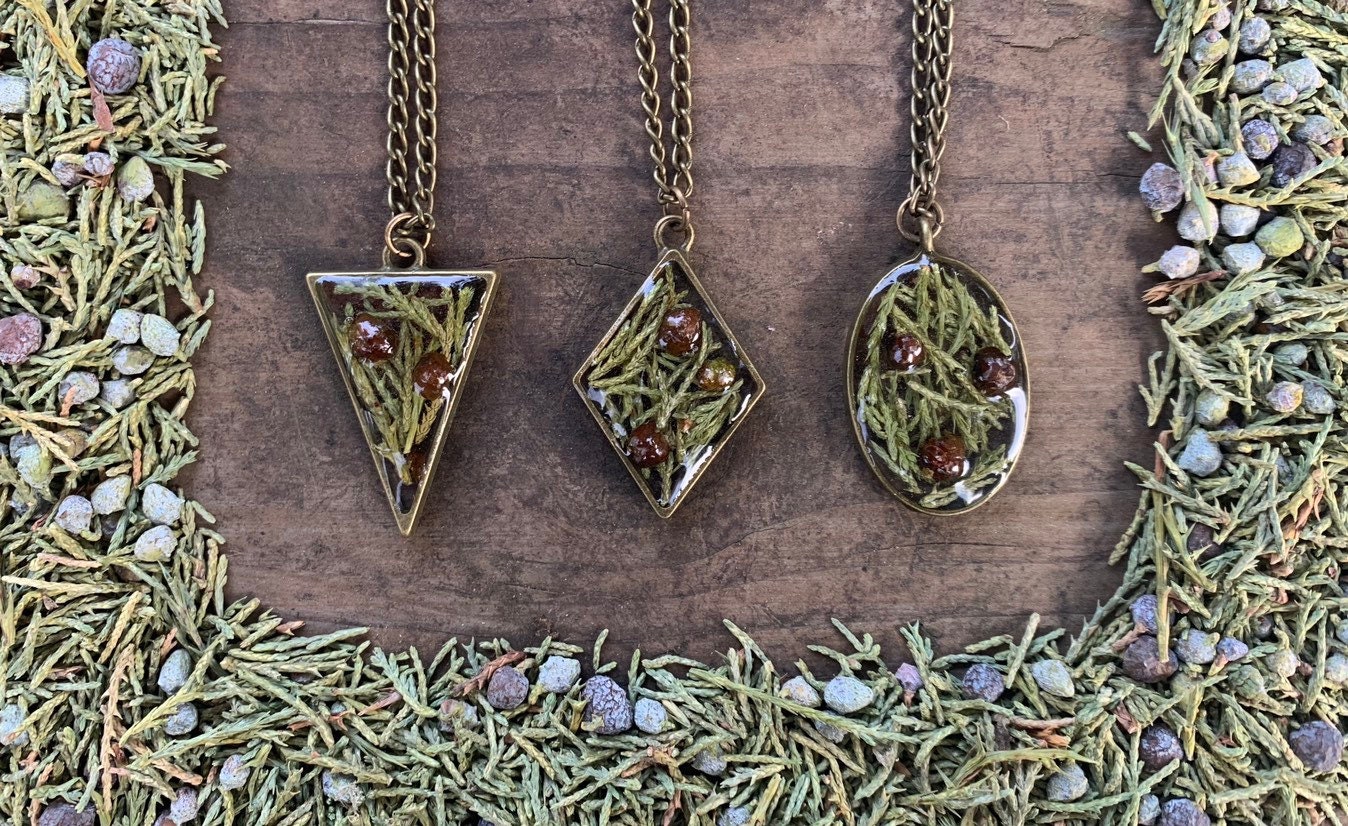 Juniper & juniper berries herbal nature resin necklace or Etsy