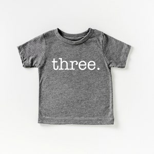 Three Birthday Shirt I 3rd Birthday T-Shirts I Third Birthday Graphic Tee I Wild & Three T-Shirt I Three Rex Bday Shirts I Cute 3 B-Day Tees