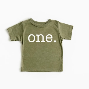 ONE Birthday Shirt I First Birthday Shirts I 1st Birthday Graphic Tees I The Birthday Boy Tee I The Birthday Girl T-Shirts I Boys Bday Tees