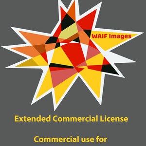 Extended Commercial License - purchase the right to use three of our listings for commercial purposes.
