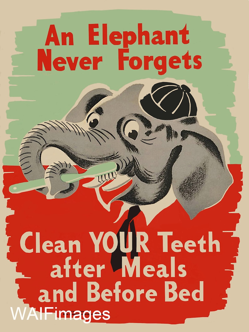 Dental Hygiene Poster New Zealand mid century vintage health poster image 1