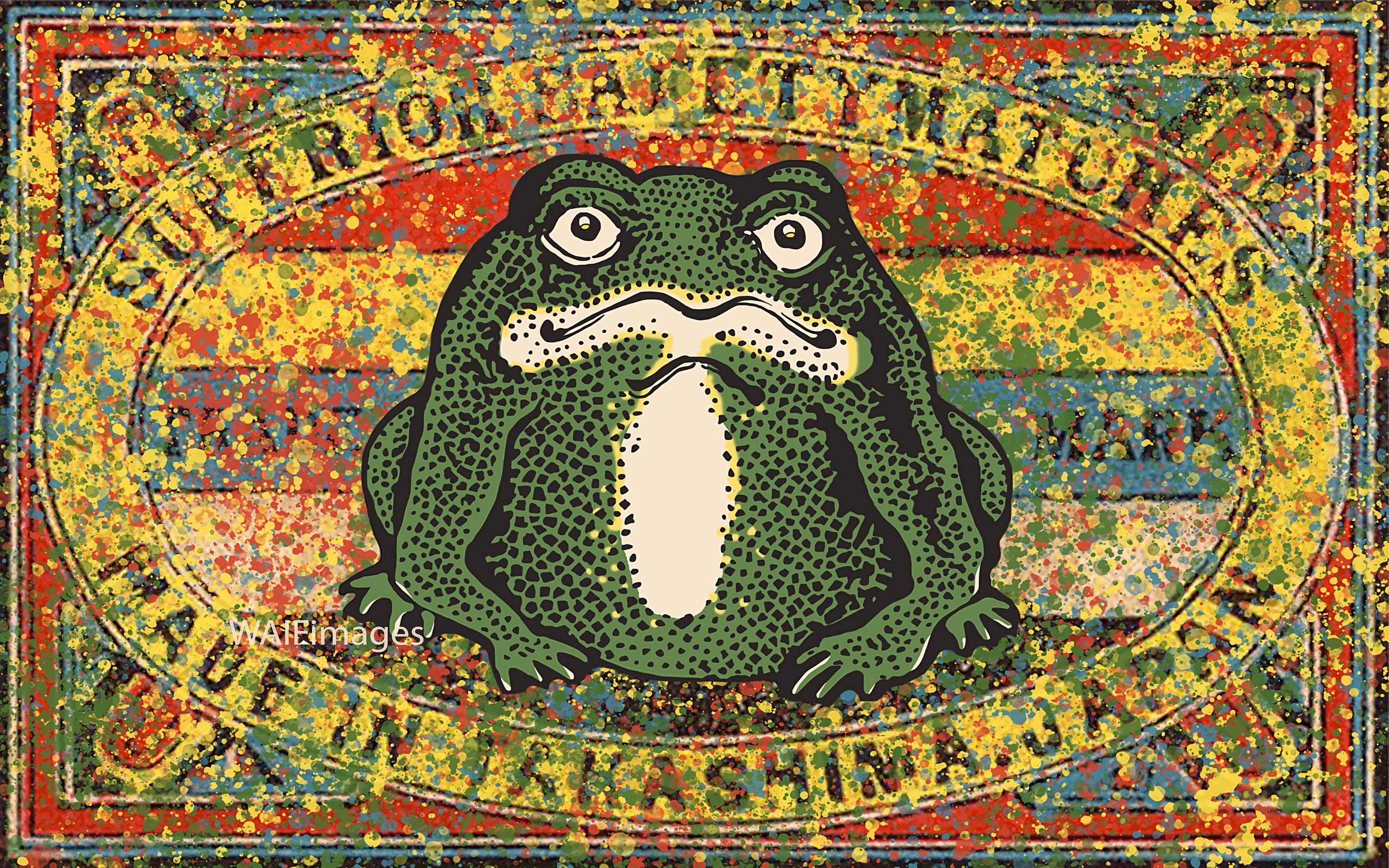 Ol' Frog Face - From the Swamp to a 1920s Japanese Matchbox Label