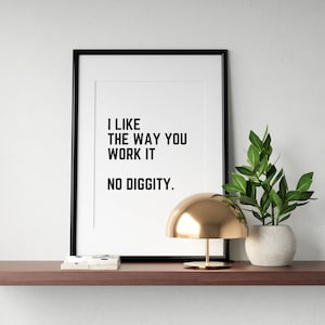 May include: A black framed print with the text "I like the way you work it. No diggity." The print is on a wooden shelf with a gold lamp and a potted plant.