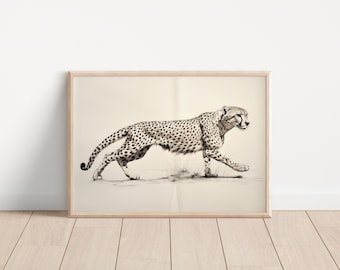 Cheetah print, retro vintage Cheetah print poster, vintage kunst aan de muur, eclectische muur decor, retro Cheetah kunst, dierenprints
