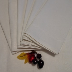 Set for 6 persons Tablecloth and Napkins
