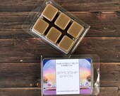 SPACESHIP EARTH Soy Wax Melts Disney - Inspired Candle Natural Soy Wax - Main Street Melts Candle Co. Rome Burning Scent Tart Melt Clamshell