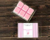 CONFECTIONERY SHOP Soy Wax Melts Disney - Inspired Candle Natural Soy Wax - Main Street Melts Candle Co. Cotton Candy Tart Melt Clamshell