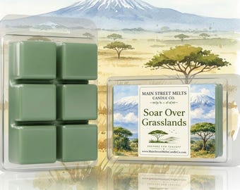 Soar Over Grasslands | Disney Inspired Wax Melt - Scented Soy Candle Tart