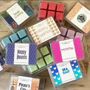 You Pick 4 - Soy Wax Melts pack Disney magic Inspired Candle Melt Natural Soy Wax Main Street Melts Candle Co Variety Tarts Scents