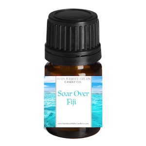 SOAR OVER FIJI Fragrance Oil for Diffuser Essential Oils Main Street Melts Candle Co. Disney Inspired Scents Fragrances 5mL Soarin Scented
