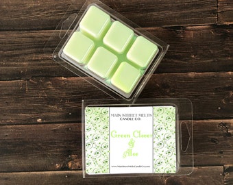 GREEN CLOVER & ALOE Soy Wax Melt Disney Inspired Candles Natural Soy Wax - Main Street Melts Candle Co. Deluxe Lobbies scent beach club