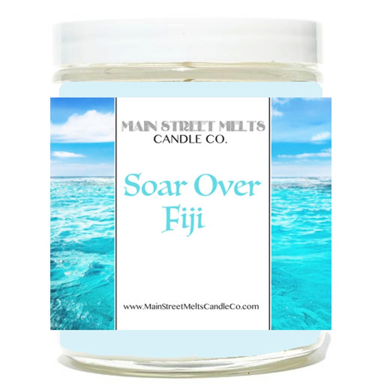 Magic Themed Theme Park scent Epcot Soarin/' Ocean SOAR OVER FIJI Disney Inspired Candle 9oz Jar Natural Soy Wax Main Street Melts Candle Co