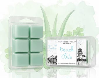 Vela de soja perfumada inspirada en Beach Club/Disney Resort - Tarta de cera