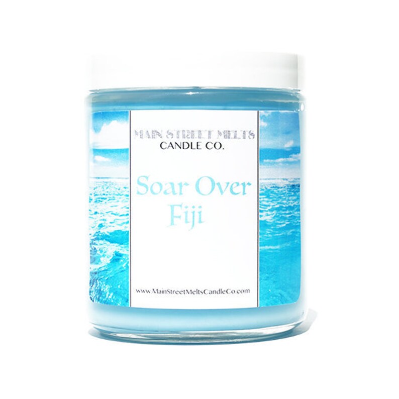 Magic Themed Theme Park scent Epcot Soarin/' Ocean SOAR OVER FIJI Disney Inspired Candle 9oz Jar Natural Soy Wax Main Street Melts Candle Co