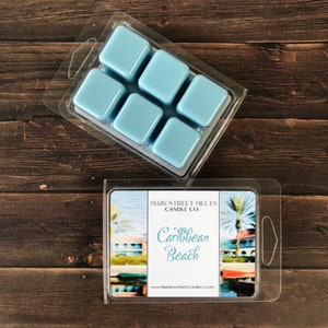 CARIBBEAN BEACH Disney Soy Wax Melt Disney - Inspired Candle Natural Soy Wax - Main Street Melts Candle Co. Melt / Tart Clamshell Scent
