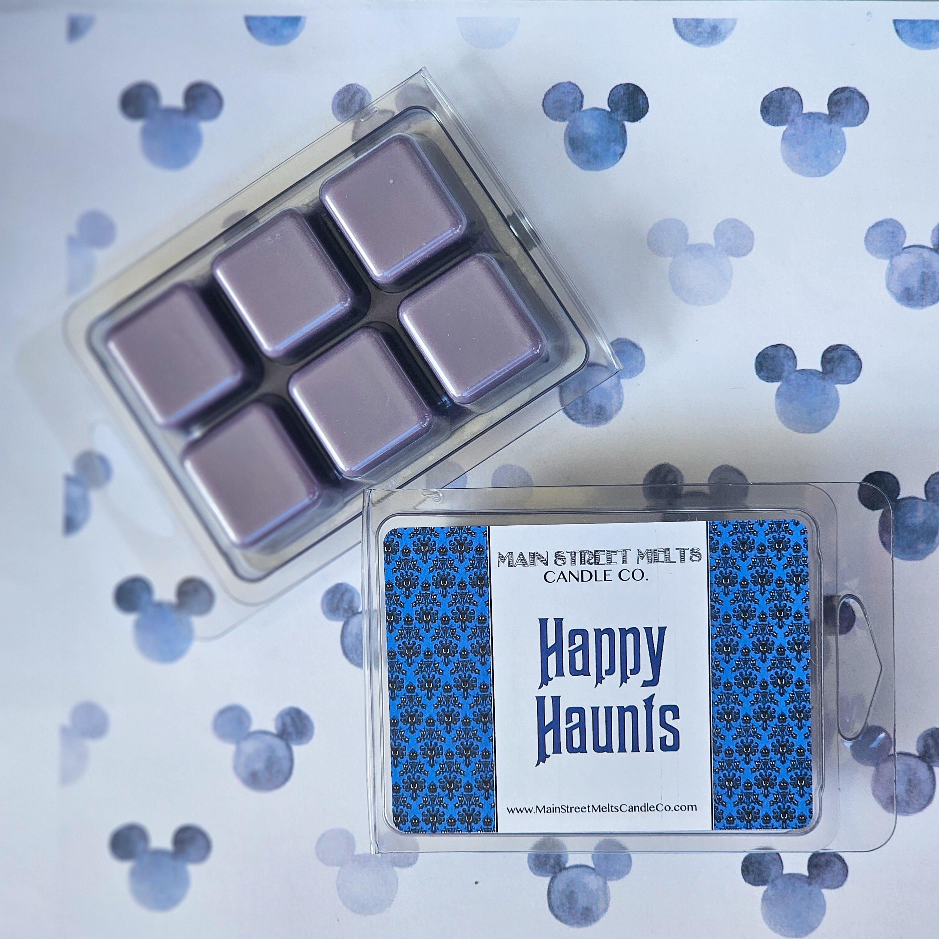 HAPPY HAUNTS ソイワックスメルト ディズニー - インスパイア