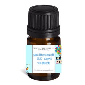 ADVENTURE is OUT THERE Fragrance Oil for Diffuser Essential Oils Main Street Melts Candle Co. Disney Inspired Scents Fragrances 5mL Up Movie