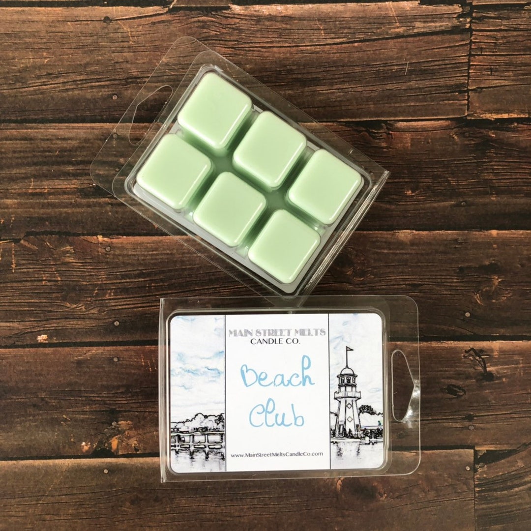 You Pick 4 Soy Wax Melts Pack Disney Magic Inspired Candle Melt