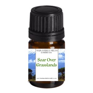 SOAR OVER GRASSLANDS Fragrance Oil for Diffuser Essential Oils Main Street Melts Candle Co. Disney Inspired Scents Fragrances 5mL Soarin