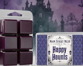 Op de afbeelding: Een verpakking van zes donkerpaarse wax melts in een doorzichtige plastic tray naast een rechthoekig label met een paars en zwart damastpatroon, een illustratie van een gotisch hek en de tekst Main Street Melts Candle Co. Happy Haunts.