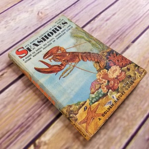 May include: A vintage book titled "Seashores" with a full-color illustration of a lobster on the cover. The book is a guide to shells, sea plants, shore birds, and other natural features of American coasts. It is part of the Golden Nature Guide series.