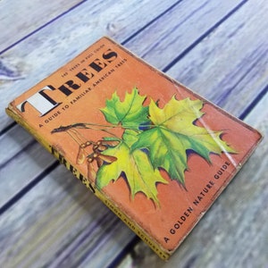 Vintage Trees Guide to Familiar American Trees 1956 Golden Nature Guide Paperback Book Orange Cover