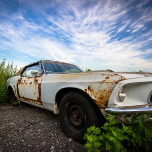 Photograph - Ford Mustang - White Rust - Barn Find - Old - Muscle Car - Abandoned