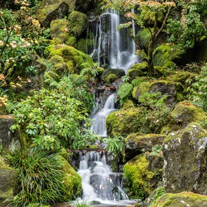 Photograph - Portland - Japanese Garden - Waterfall - Fall - Autumn Colors