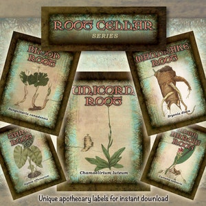 May include: Set of six vintage-style apothecary labels featuring illustrations of different roots. The labels are titled "Blood Root", "Unicorn Root", "Mandrake Root", "Taro Root", "Indian Arrow Root", and "Blood Root". Each label includes the botanical name of the root.