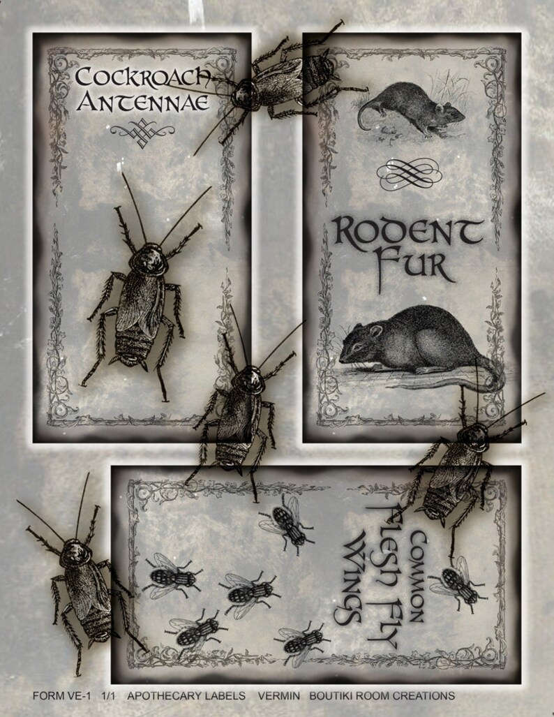 Apothecary Bottle Labels - Vermin - Etsy