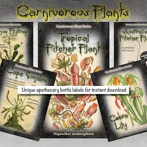 Apothecary potion bottle labels - Carnivorous Plants